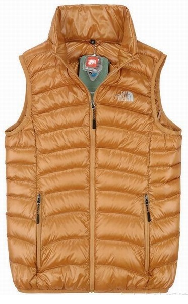North Face Down Vest Glossy Brown Wmns
